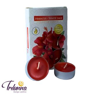Vela Rechaud 6Un - Hibiscus/White Sage