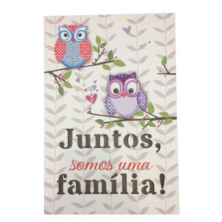 Quadro Coruja 20x30cm Iluminado