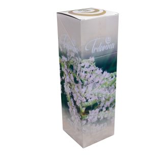 Incenso Semi Massala C/25 Trilunna - Mirra